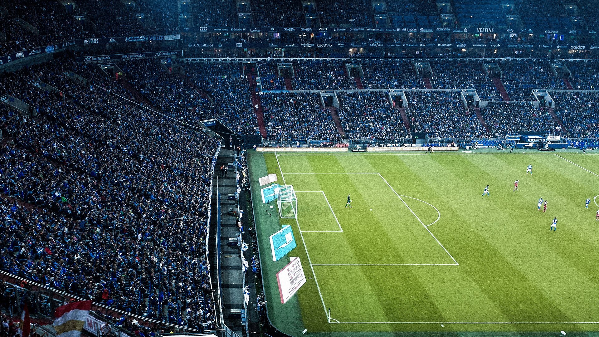 观众满意度持续上升平台用户活跃度创造同期历史新高，专业观众满意度