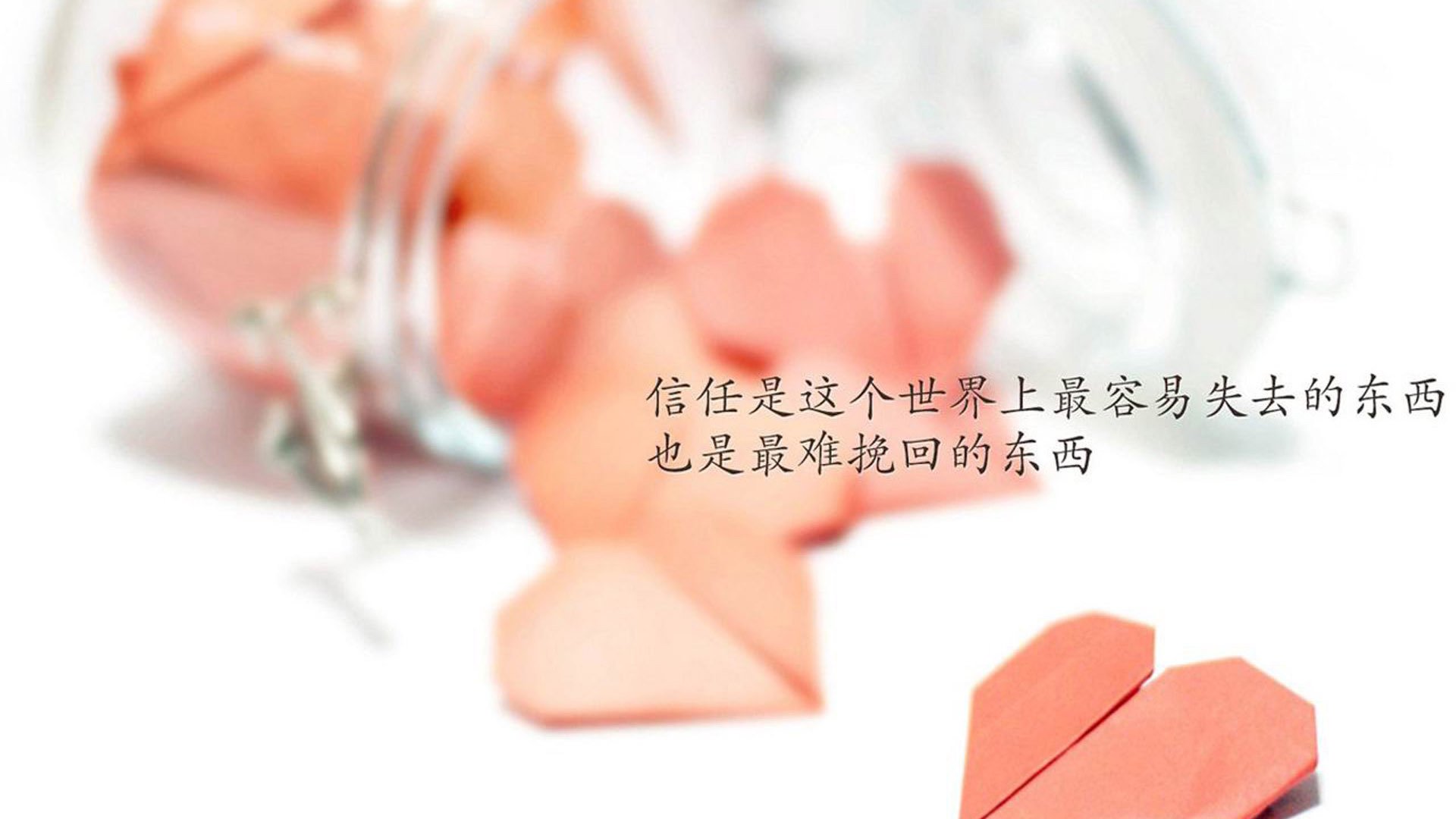 九游sports-_体育与公益联动：运动助力社会进步_，关于体育的公益项目